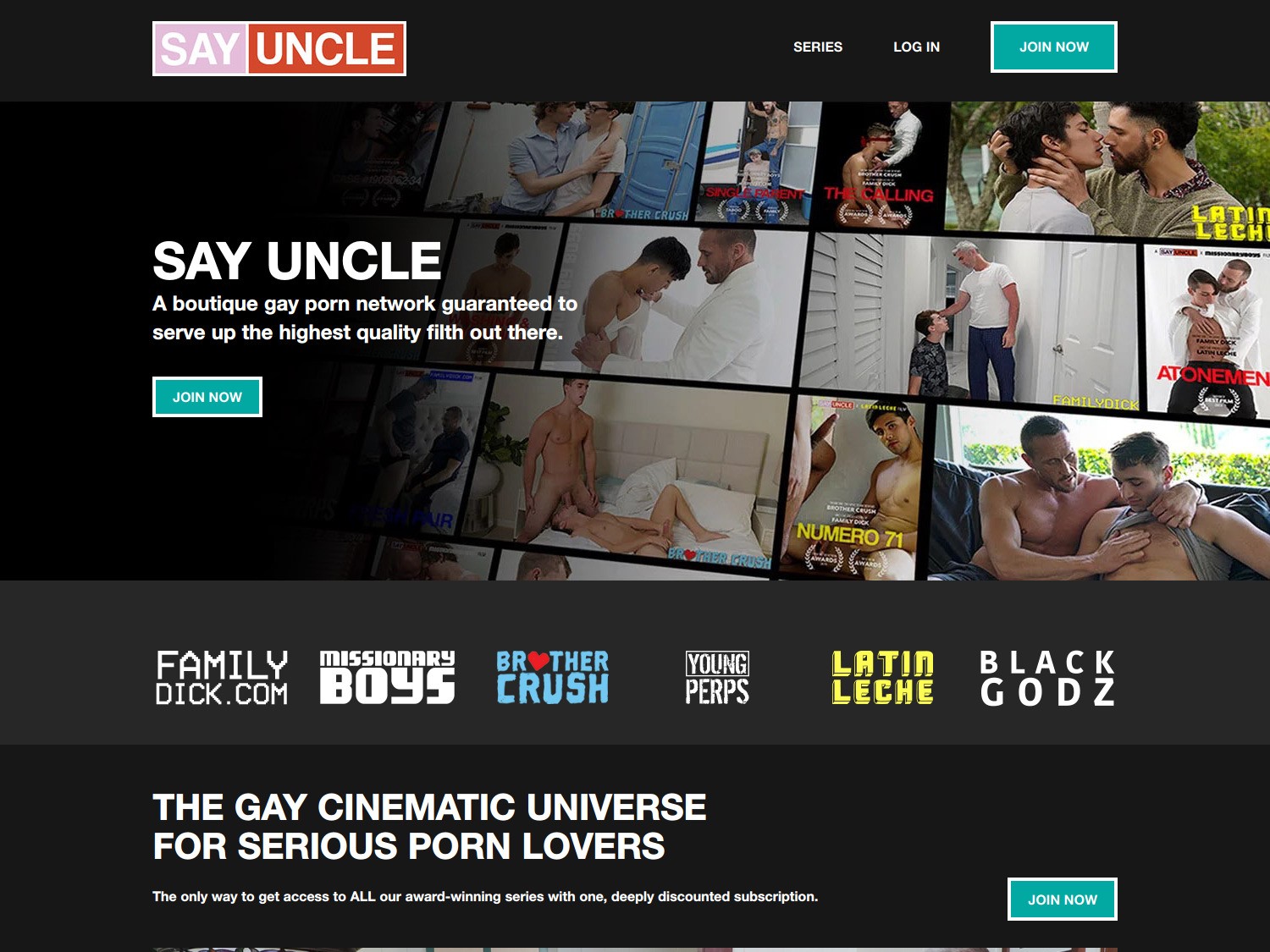 say uncle gay porm